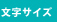 文字サイズ