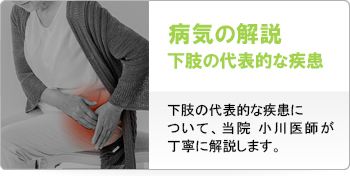 下肢の疾患