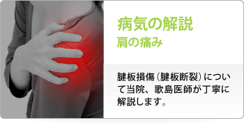 病気の解説 肩の痛み